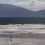 Știri Irlanda 15 August 2014