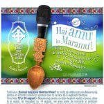 Un festival inițiat de un irlandez în România…