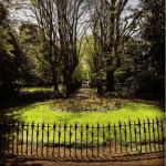 Oaze de liniște în Dublin