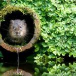 Știri Irlanda 14 iulie 2020