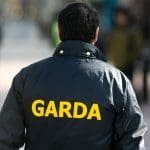 Tâmplar din Clondalkin condamnat la închisoare după ce a agresat garda sub influența alcoolului Ofițer de poliție irlandez în timpul unei intervenții