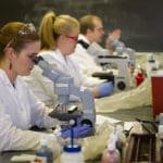 Irlanda 21 iulie 2022