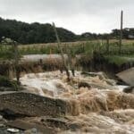 Irlanda 25 iulie 2022