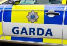 Cinci minori, reținuți de Garda în urma unei presupuse agresiuni sexuale asupra unei adolescente, în Dublin