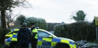 Știri Irlanda 08 ianuarie 2023