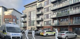 Știri Irlanda 14 ianuarie 2023