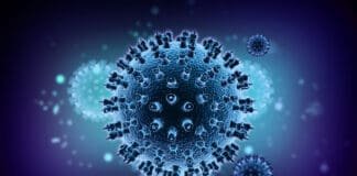 Știri Irlanda 12 ianuarie 2023