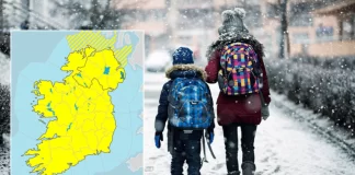 Știri Irlanda 19 ianuarie 2023