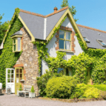 Mai multe case disponibile pe AirBnB decât pe Daft