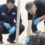 Știri din Irlanda 21 iulie 2023