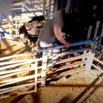 Știri din Irlanda 12 iulie 2023