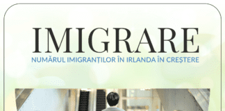 Imigrare Irlanda