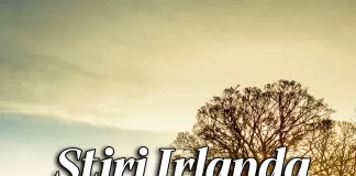 Știri Irlanda Informatia IRL 30 noiembrie 2023