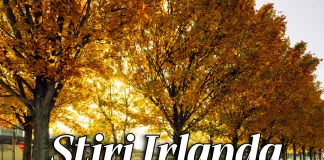 Știri Irlanda Informatia IRL 15 noiembrie 2023