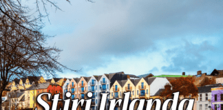 Știri Irlanda Informatia IRL 11 noiembrie