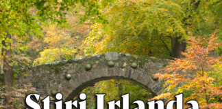 Știri Irlanda Informatia IRL 10 noiembrie