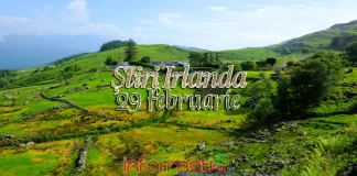 Știri Irlanda Informatia IRL 29 februarie 2024