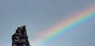 Știri Irlanda 31 martie 2024 Informatia IRL