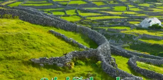 Stiri Irlanda Informatia IRL 20 martie 2024