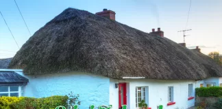 Stiri Irlanda Informatia IRL 21 martie 2024