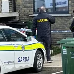 Anchetă în cazul unei crime violente în Co Kildare