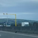 Noi Camere de Supraveghere pentru Viteza Medie pe Drumurile N2, N3 și N5