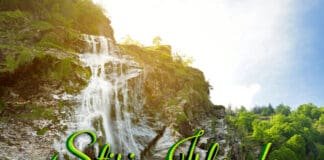 Știri Irlanda 26 mai 2024 - Informatia IRL