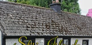 Știri Irlanda 29 mai 2024 - Informatia IRL