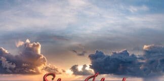 Știri Irlanda 18 mai 2024 - Informatia IRL