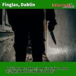 Un bărbat de 51 de ani a murit după ce a fost înjunghiat mortal în Finglas aseară.