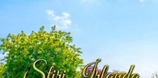 Știri Irlanda 07 iunie - Informatia IRL