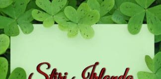 Știri Irlanda 17 iunie - Informatia IRL