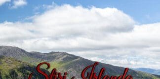 Știri Irlanda 18 iunie - Informatia IRL