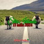 Stiri Irlanda 11 iulie - Informatia IRL