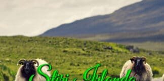 Stiri Irlanda 11 iulie - Informatia IRL