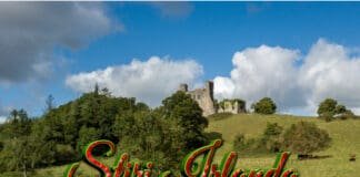 Stiri Irlanda 25 iulie Informatia IRL