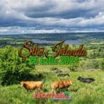 Stiri Irlanda 26 iulie Informatia IRL