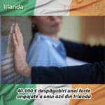 Operator de azil pus să plătească 40.000 € pentru ignorarea hărțuirii sexuale a unei angajate