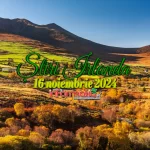 Știri Irlanda ☘️ 16 noiembrie 2024 Știri Irlanda 16 noiembrie Informatia IRL