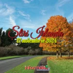 Știri Irlanda ☘️ 17 noiembrie 2024 Știri Irlanda 17 noiembrie Informatia IRL