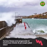 Atenționare meteo: Cod Galben de ceață pentru 15 județe înainte de furtuna Éowyn, care va aduce rafale puternice Furtuna Éowyn