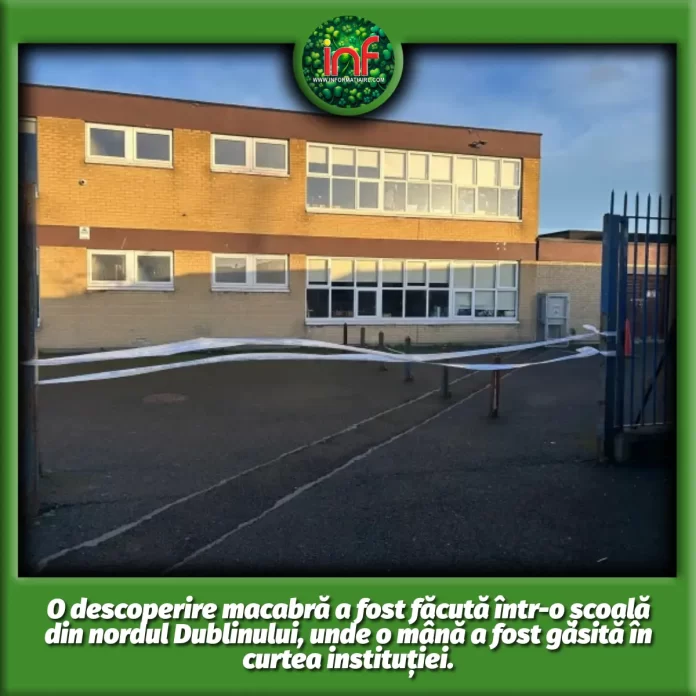 Our Lady Immaculate school Darndele Dublin Informatia IRL