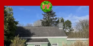 Știri Irlanda 05 februarie 2025 Informatia IRL