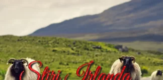 Știri Irlanda 28 februarie 2025 Informatia IRL