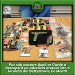 Descoperire șocantă în Bettystown: Arme de foc și peste 1.500 de gloanțe, confiscate într-un raid al Garda