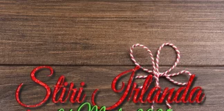 Știri Irlanda 01 martie 2025 Informatia IRL