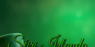 Știri Irlanda 17 martie 2025 Informatia IRL