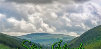 Știri Irlanda 22 martie 2025 Informatia IRL