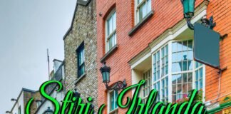 Știri Irlanda 29 martie 2025 Informatia IRL