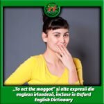 „To act the maggot” și alte expresii din engleza irlandeză, incluse în Oxford English Dictionary